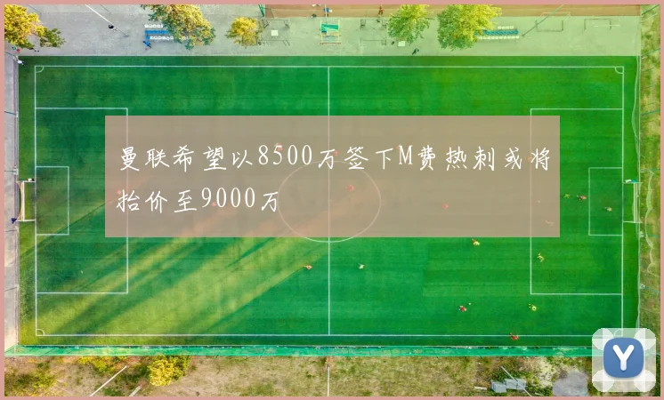 曼联希望以8500万签下M费热刺或将抬价至9000万