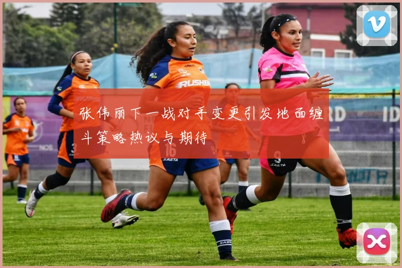 张伟丽下一战对手变更引发地面缠斗策略热议与期待
